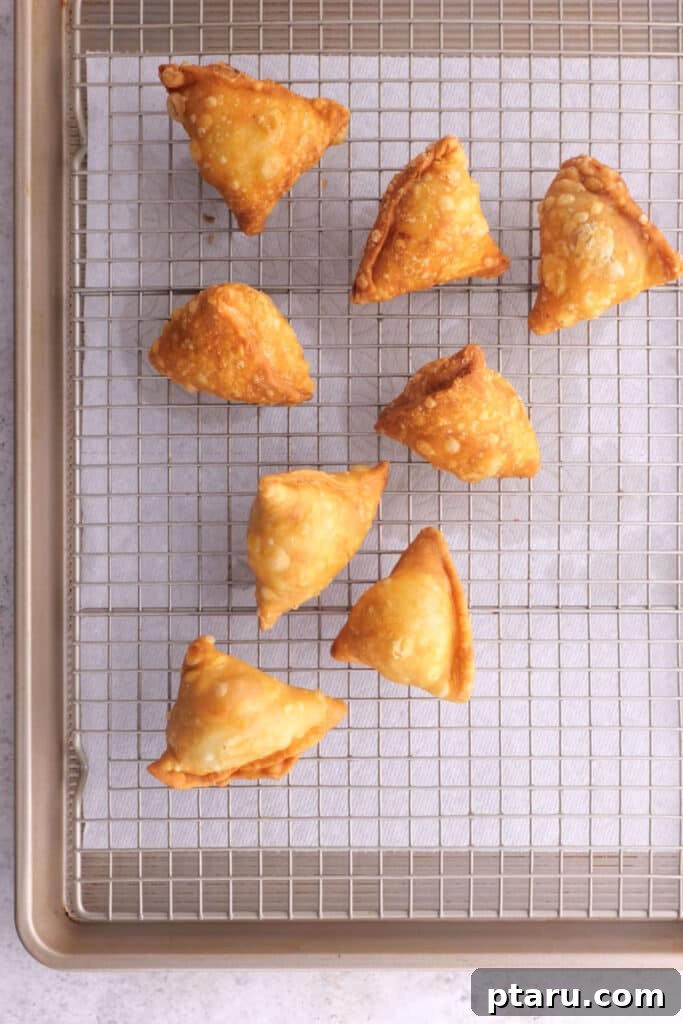 Crispy Chicken Samosas 9 Cooked Chicken Samosas resting on paper towels, golden and crispy.