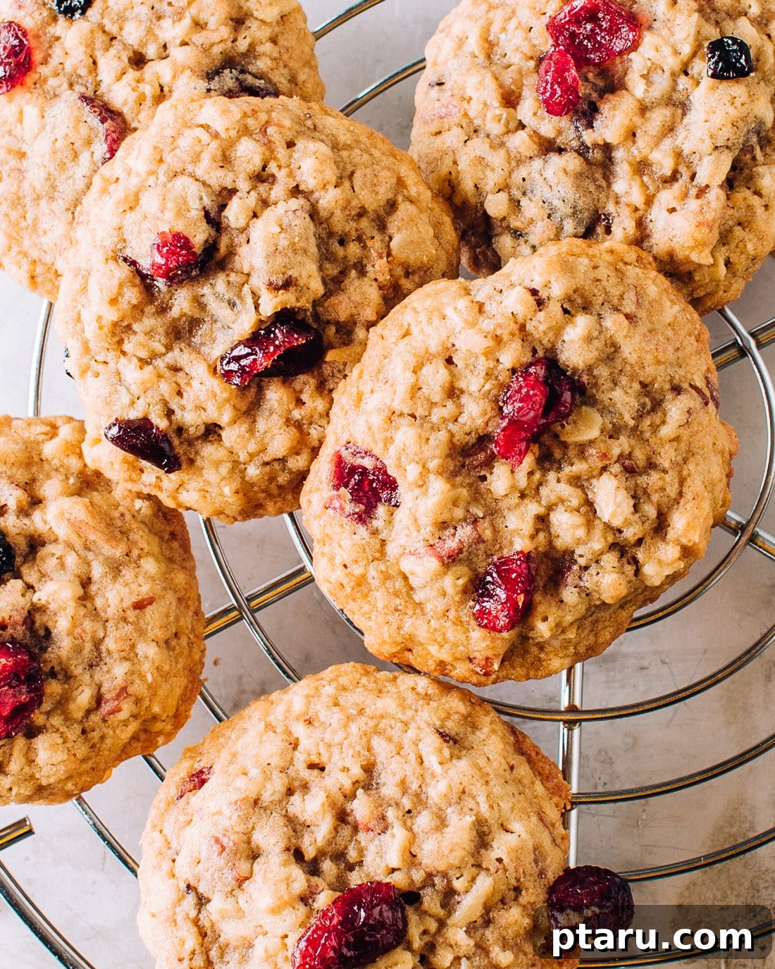 Ultimate Chewy Loaded Oatmeal Cookies 3 Chewy Oatmeal Cookie Recipe with Dried Fruit and Toasted Coconut