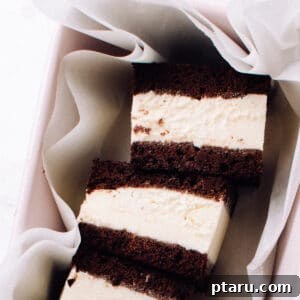 DIY Ice Cream Sandwich Wafers 6 Homemade Ice Cream Sandwiches