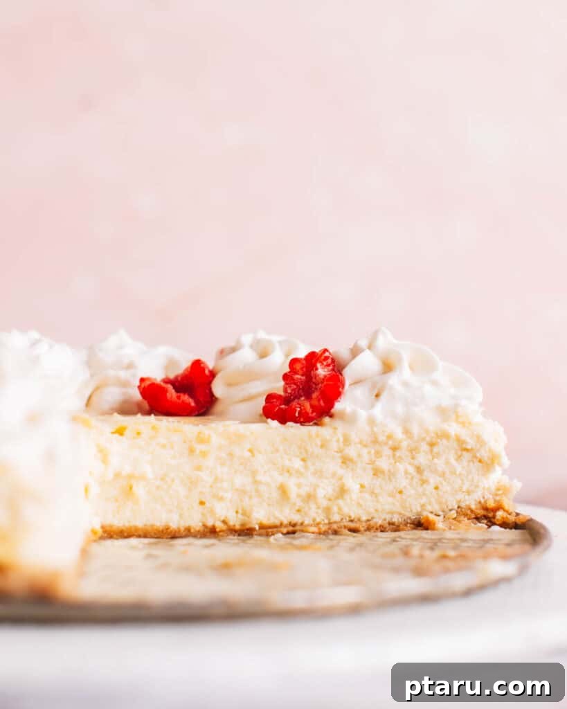 Valentines Sweet Indulgences 9 Slice of Philadelphia cheesecake with whipped cream.