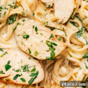 Creamy Chicken Alfredo Perfection 9 Chicken alfredo recipe close-up shot.