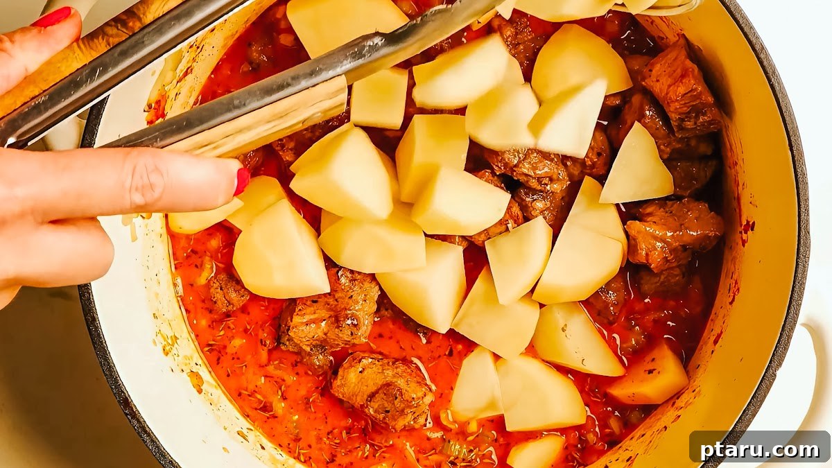 Savory Slow-Cooked Pork Stew with Vegetables 7 Pork stew recipe steps.