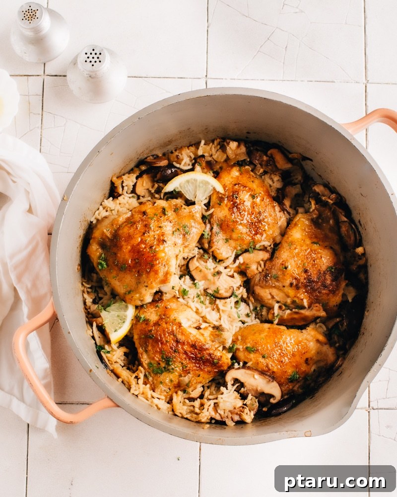30 One-Pan Chicken Dinners: A Month of Simple Recipes 13 Oven-baked lemon chicken and rice with mushrooms.