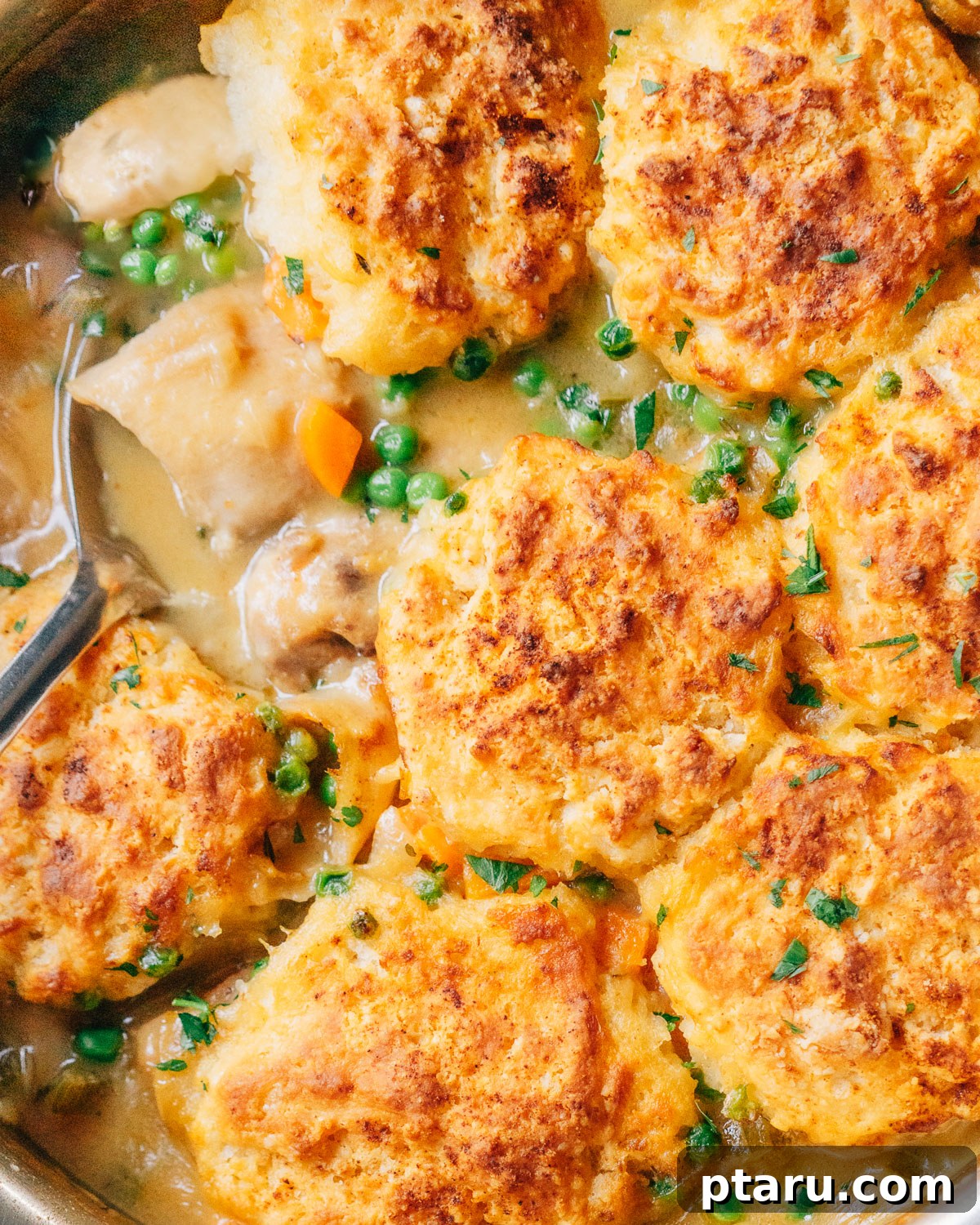 30 One-Pan Chicken Dinners: A Month of Simple Recipes 26 Chicken stew with a golden biscuit topping.