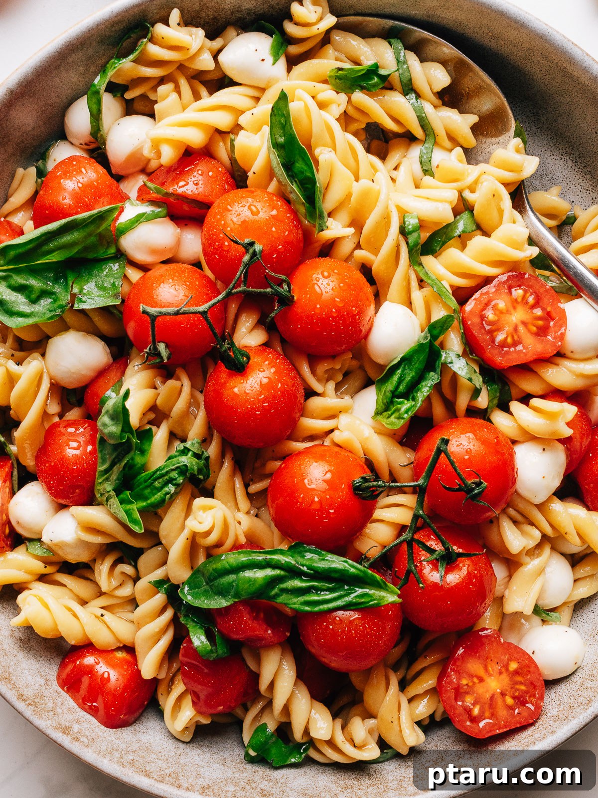 Caprese Pasta Salad with Cherry Tomatoes, Basil & Mozzarella 9 Caprese pasta salad in a bowl with cherry tomatoes, fresh mozzarella, and basil.