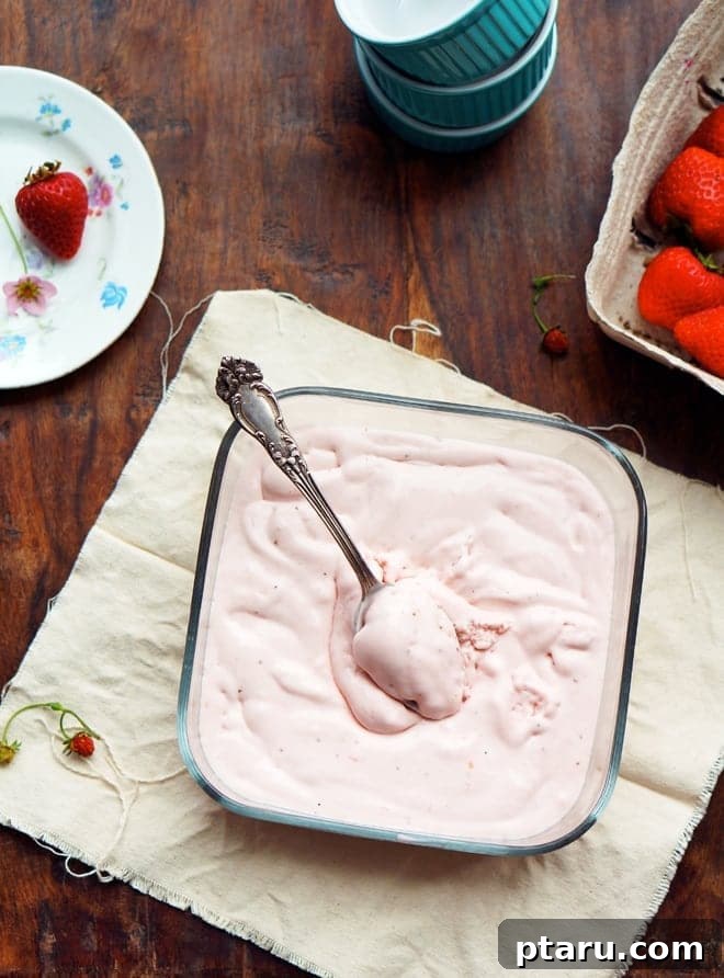 18+ Homemade Frozen Treats: Popsicle and Ice Cream Recipes 14 Roasted strawberry buttermilk ice cream.