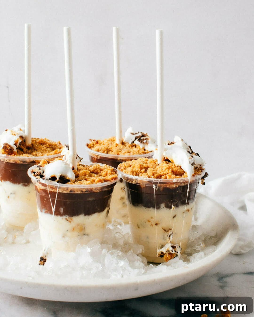 18+ Homemade Frozen Treats: Popsicle and Ice Cream Recipes 17 Frozen s'mores ice cream pops dipped in chocolate.