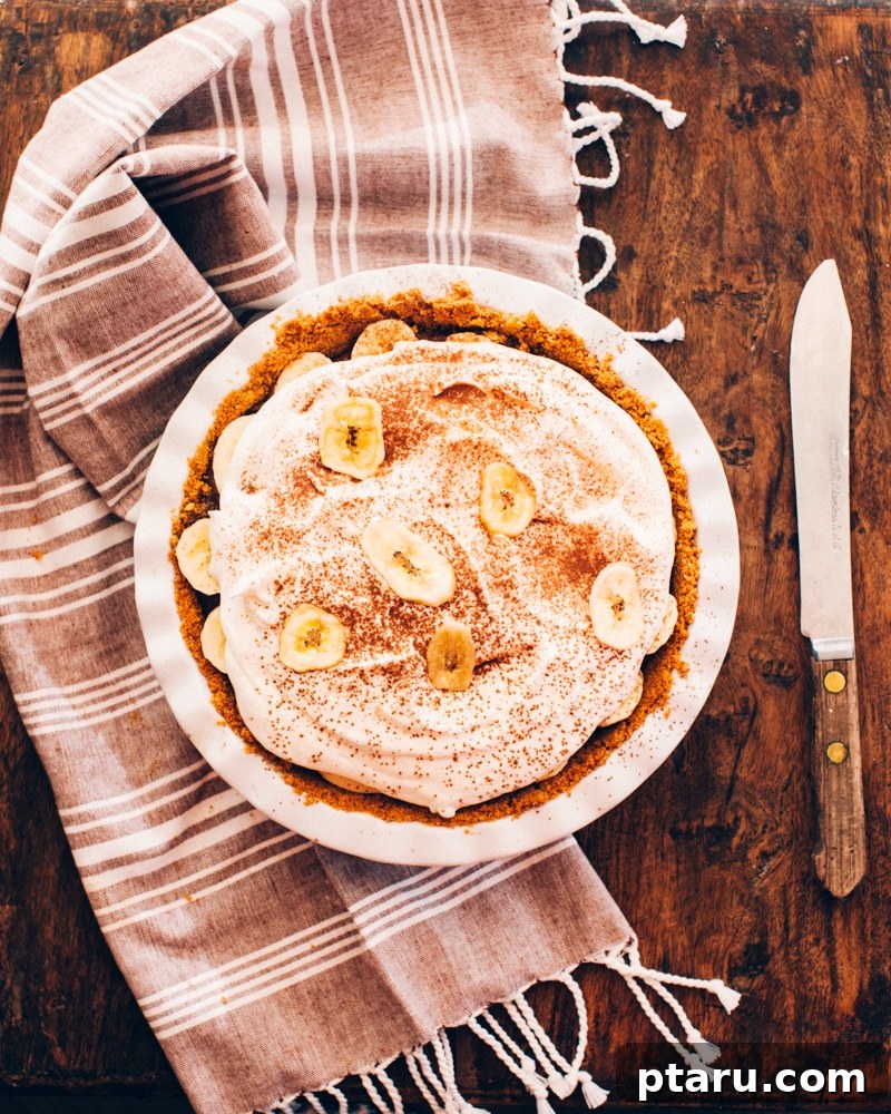 48 Pie Recipes: Fruit, Cream, Savory Pies and Tarts 13 A slice of chocolate banana cream pie topped with whipped cream.