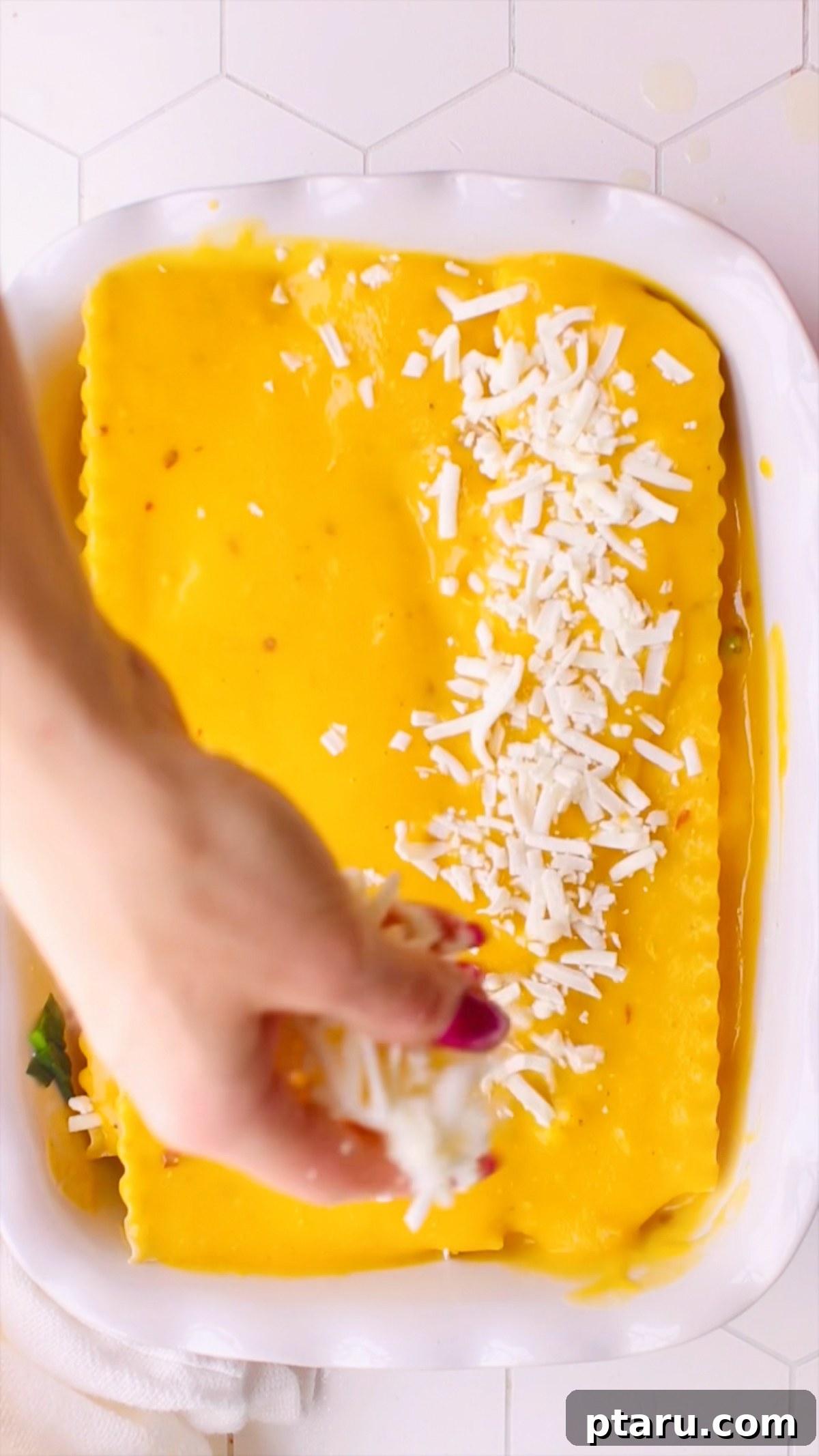 Butternut Squash Lasagna with Creamy Béchamel 13 Shredded mozzarella sprinkled over a layer of butternut squash sauce.