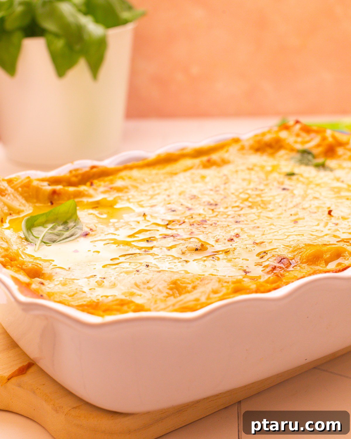 Butternut Squash Lasagna with Creamy Béchamel 17 Butternut squash lasagna with creamy béchamel in a scalloped white baking dish.
