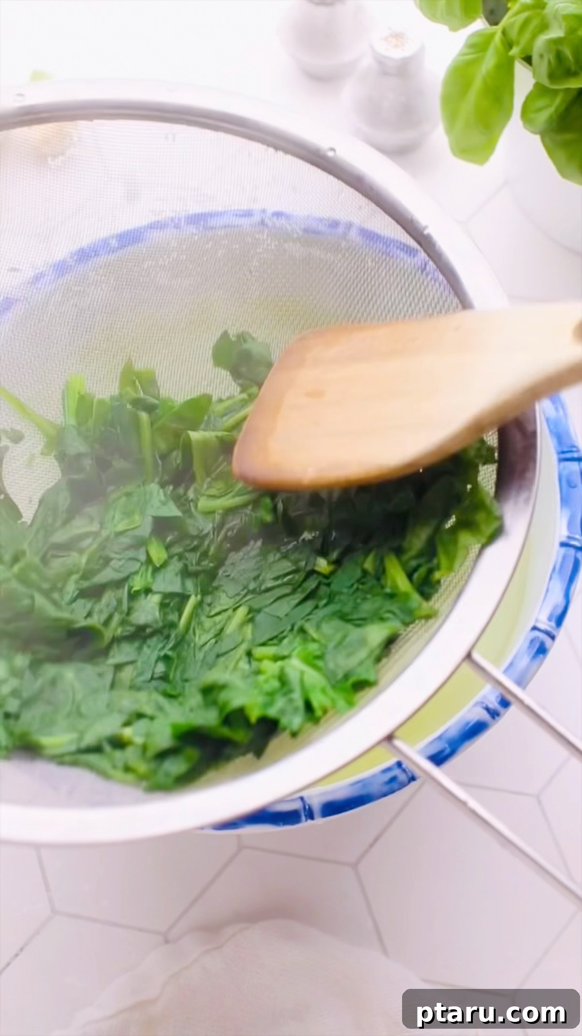 Butternut Squash Lasagna with Creamy Béchamel 9 Wilted spinach pressed dry in a colander with a wooden spoon.