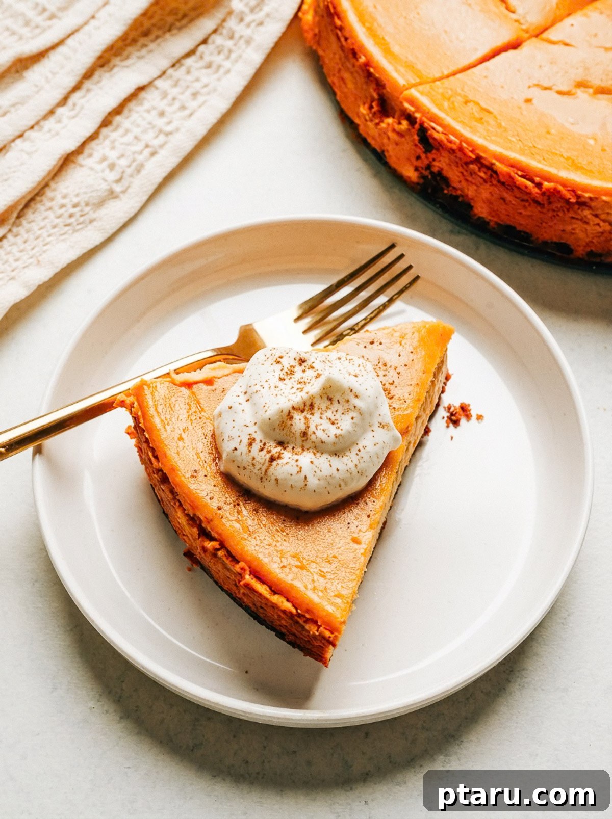 Silky Pumpkin Cheesecake with Gingersnap Crust 2 Slice of Pumpkin Cheesecake with whipped cream and cinnamon on a white plate.