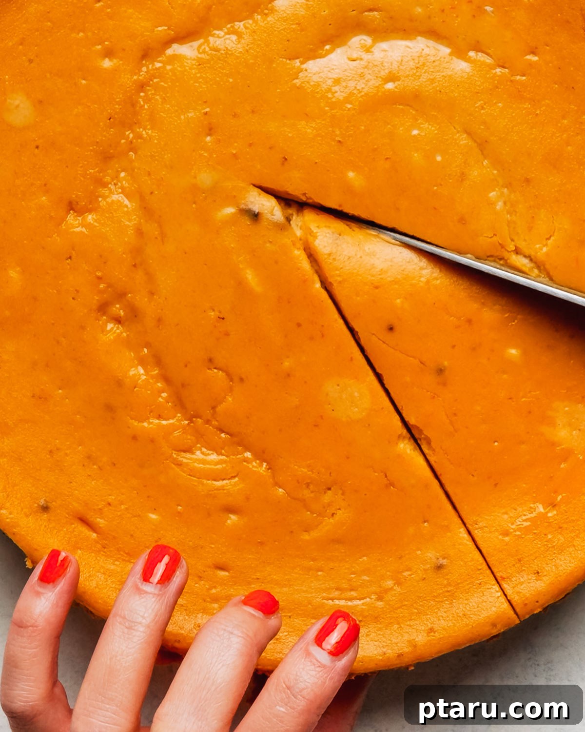 Silky Pumpkin Cheesecake with Gingersnap Crust 11 Cutting the first slice of chilled Pumpkin Cheesecake with a knife.