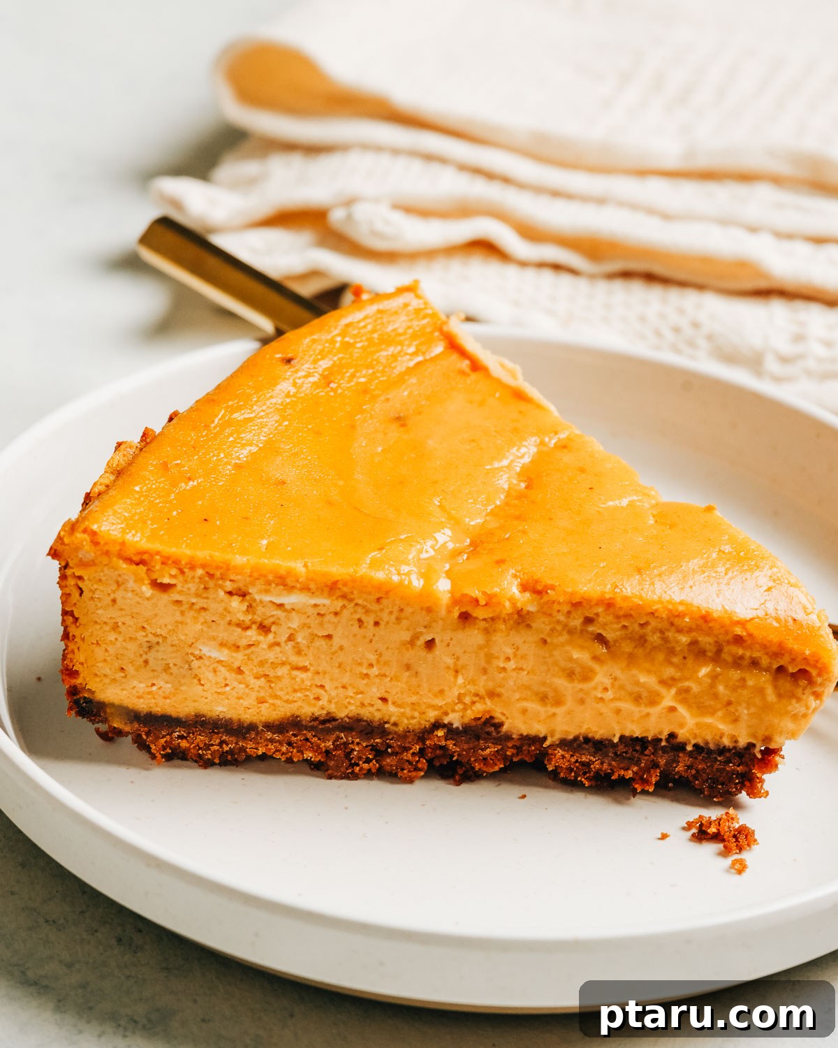 Silky Pumpkin Cheesecake with Gingersnap Crust 12 Slice of Pumpkin Cheesecake with a gingersnap crust on a white plate.