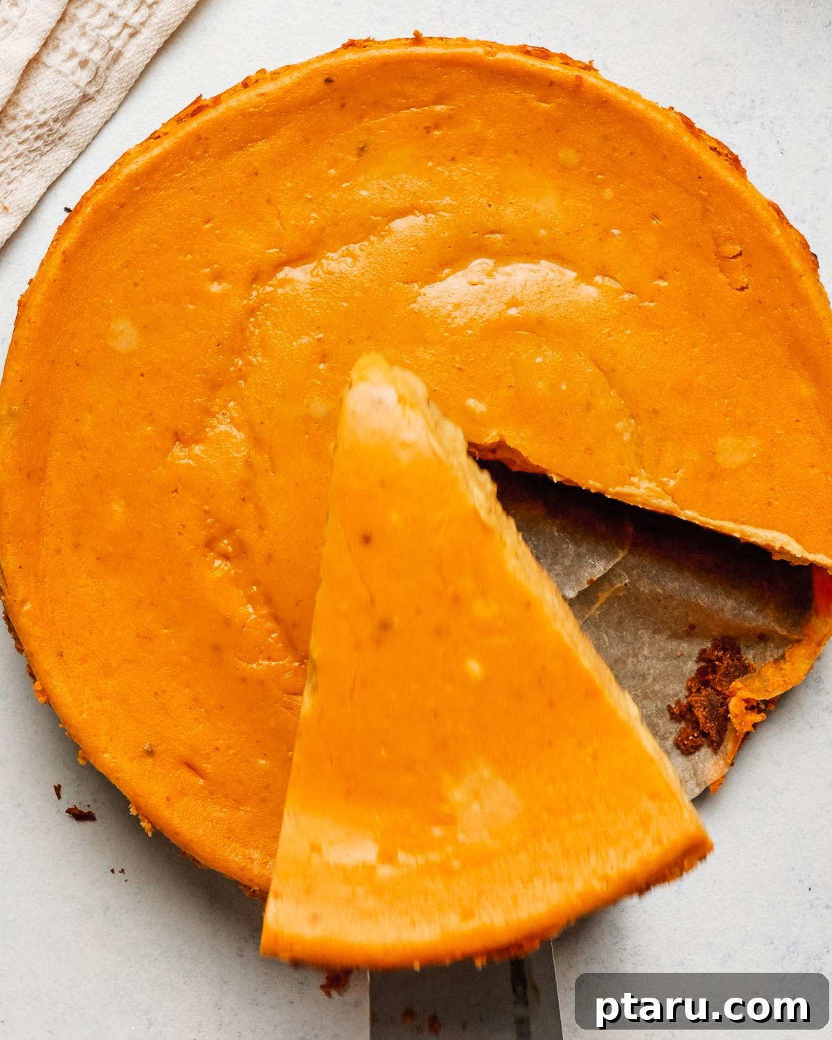 Silky Pumpkin Cheesecake with Gingersnap Crust 13 Lifting a slice of Pumpkin Cheesecake out of the springform pan.