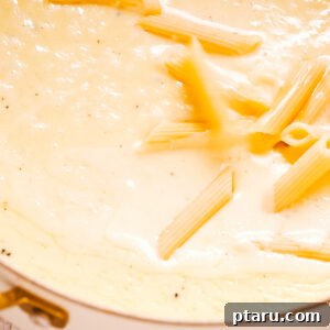How to Make Garlic Cream Sauce 9 img 63761 10