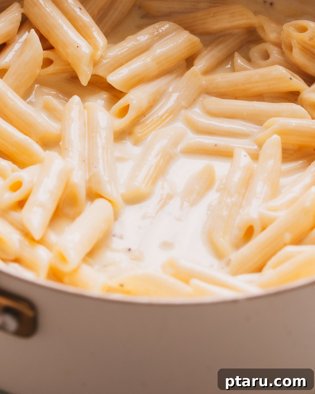 How to Make Garlic Cream Sauce 8 A pot of penne coated in creamy garlic cream sauce.